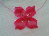 Orchidée rose